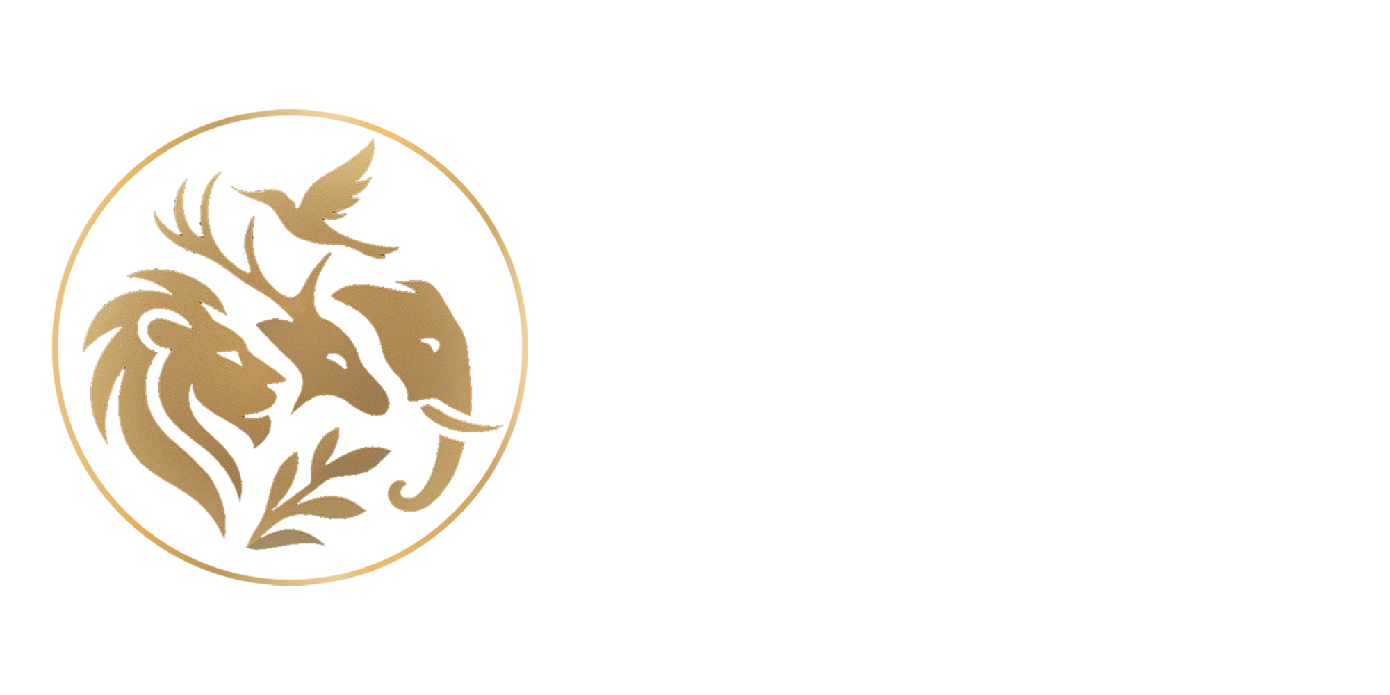 Neel Sarkhedi Photography